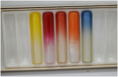 お洒落ハンコ　グラデーション　12ミリ　5本セット