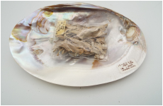 パールジェルとホワイトセージ　セット