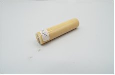 マッコウクジラ　13-59