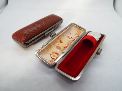 イタリアントカゲ　16.5-60