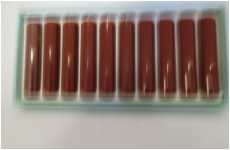 ポリエステル　キューティ 12-60  チョコレート色　青色