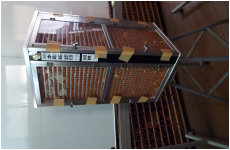 柘植2000本セット　中身85％位入り