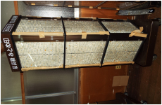 白丸　10001より20000種の　10000本セット