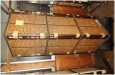 つげ小判　10000種セット