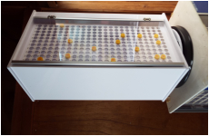 12ミリ丸　500本　空ケース