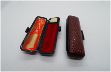 エンボストカゲ　9-60