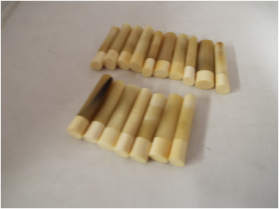オランダ水牛　小判-45　牙次　