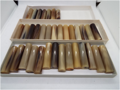 オランダ水牛 15-60 35本